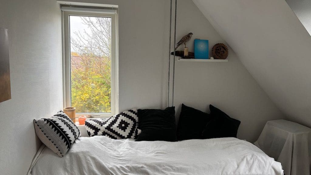 Room view
