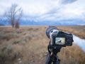 camera being used for wildlife photography