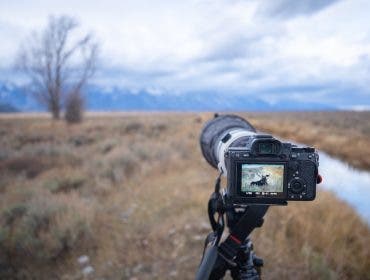 camera being used for wildlife photography