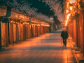 A stroll towards the temple at sunrise. Tokyo, Japan