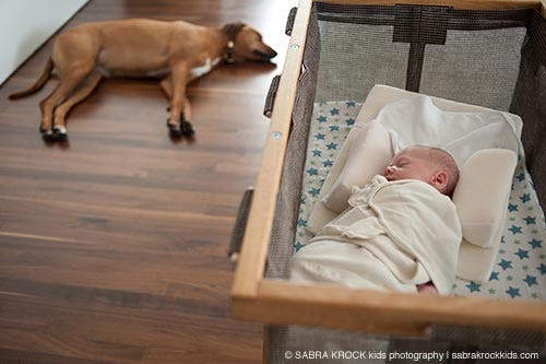 Baby and dog sleeping