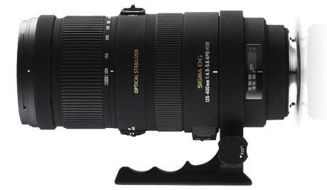 Bird Photography Gear