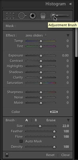 Adobe Lightroom 4 adjustment brush