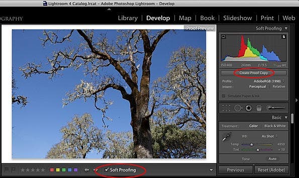 Adobe Lightroom 4 soft proofing