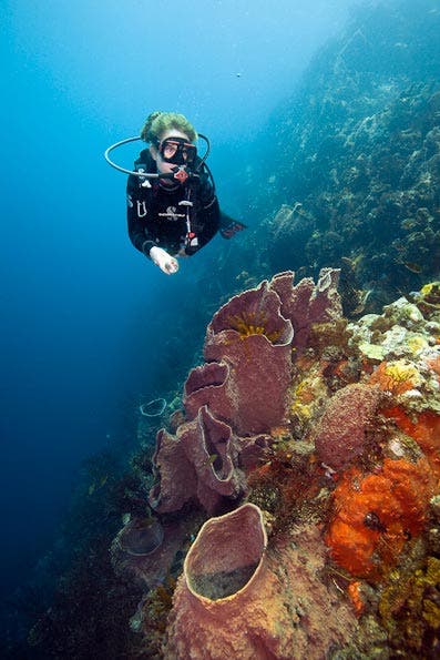 Underwater Photography Composition tips