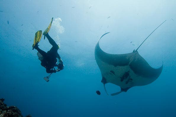 Underwater Photography Composition tips