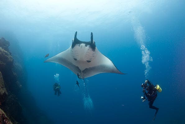 Underwater Photography Composition tips