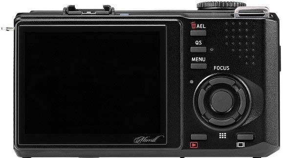 Sigma DP-1 Merrill