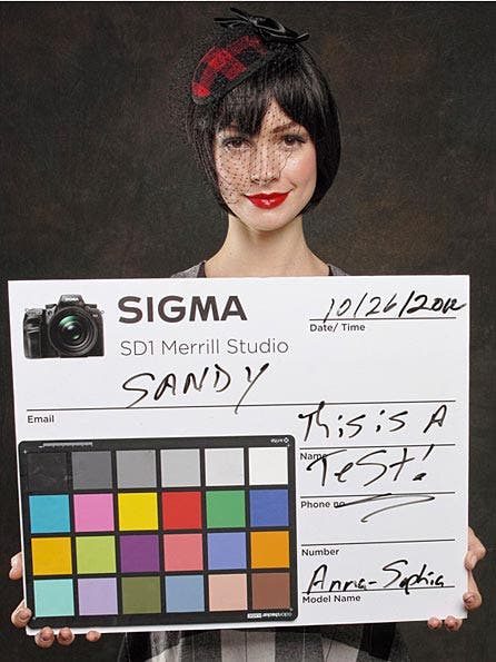 Sigma DP-1 Merrill