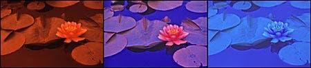 Special Effects Photography at Adorama