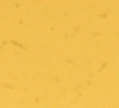 Image of a very dusty sensor at f/29