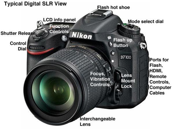 Buying a Digital Single-Lens Reflex DSLR Camera