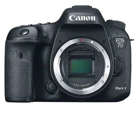 Description: Canon-01.jpg
